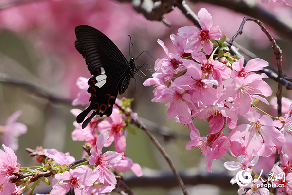 �B�T(m��n)�����t�ۼ��ˡ���