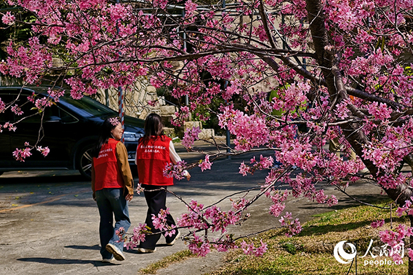 �����ο���������С����̤���p��������W(w��ng)ӛ�� ꐲ��z