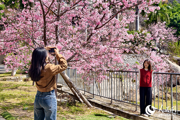 �ο��ڙѻ���(sh��)����Ӱ������W(w��ng)ӛ�� ꐲ��z