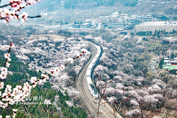 �������_��������С�