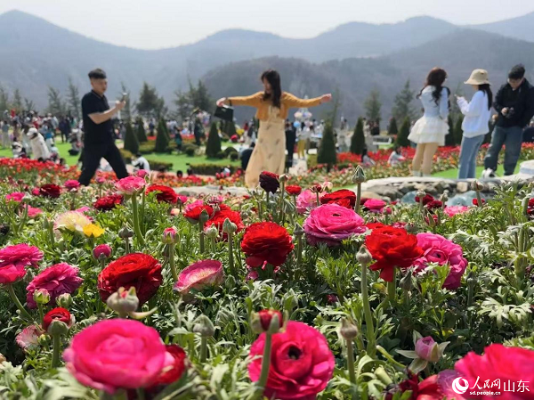 �����������g������ɽҰ�g��Ȼ���C������W(w��ng)ӛ�� ��歔z