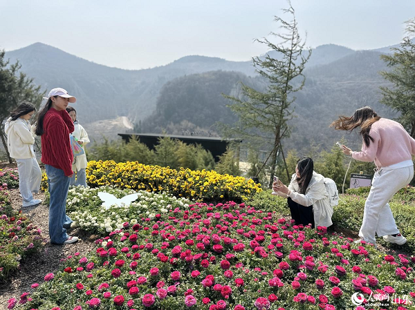 �����������g������ɽҰ�g��Ȼ���C������W(w��ng)ӛ�� ��歔z