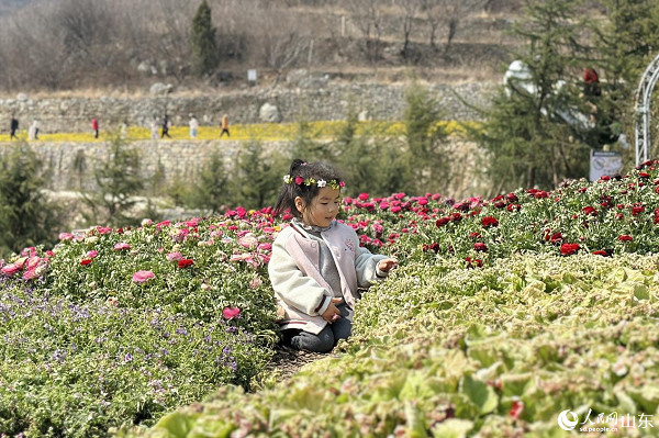 ��ͯ���g�p����������ͯȤ������W(w��ng)ӛ�� ��歔z