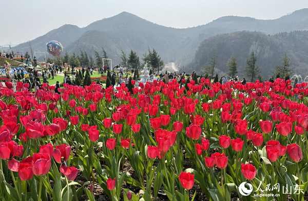 ɽ�|�Ͳ����ƶ˻�����