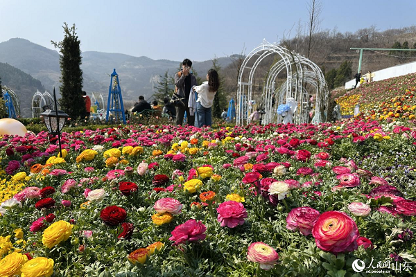 �����������g������ɽҰ�g��Ȼ���C������W(w��ng)ӛ�� ��歔z