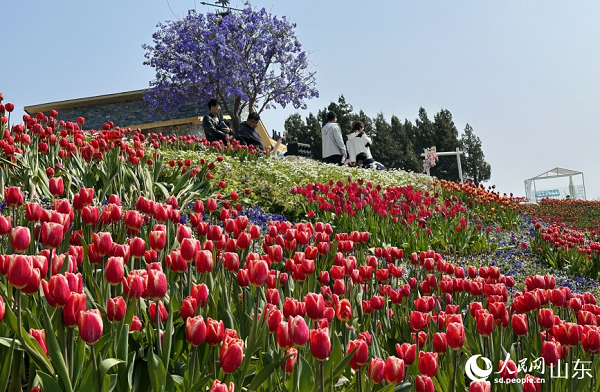 �ӯB�������չ��һƬ�ƶ˻���������W(w��ng)ӛ�� ��歔z