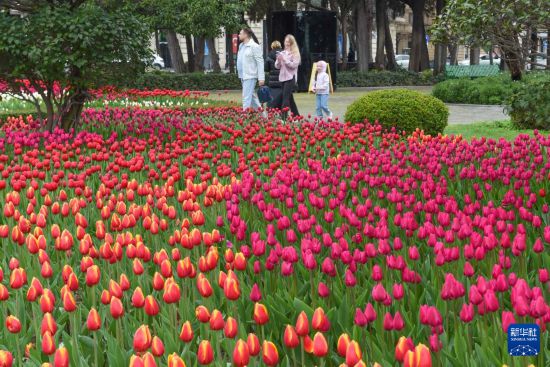 �͎�(k��)����⡱