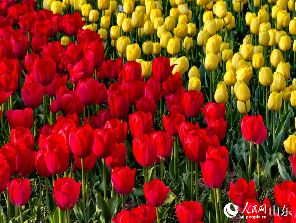 �r�G�����������G�箋������W(w��ng)ӛ�� ���f演z