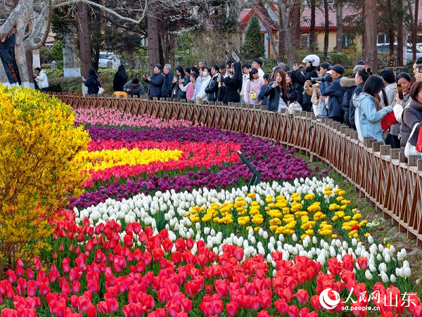 ��ʰߔ̵�������ͤͤ�������������������ο��v���^�p������W(w��ng)ӛ�� ���f演z