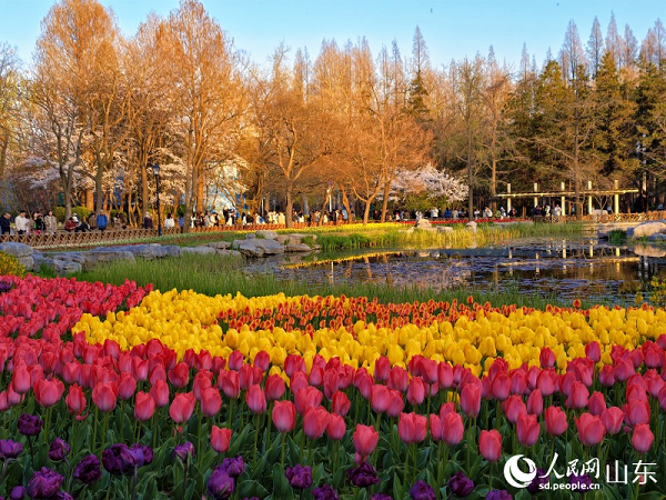 ���u��ɽ���@С��������������ӭ��ʢ���ڡ�����W(w��ng)ӛ�� ���f演z