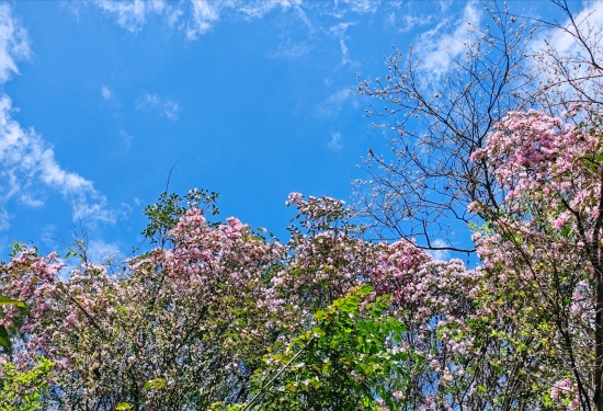 ����˴��ɽ��(gu��)�Ҽ�(j��)��Ȼ���o(h��)�^(q��)��(n��i)�����L��λ���D