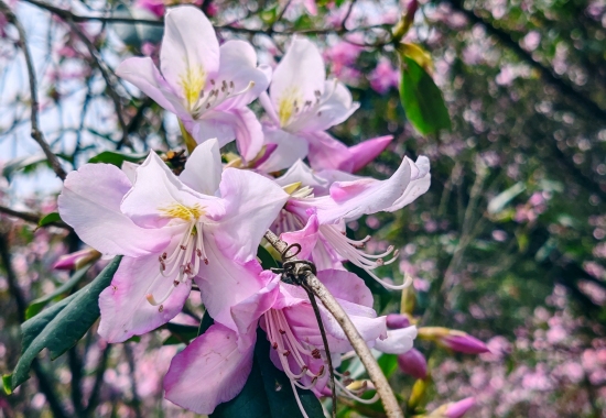 ����˴��ɽ��(gu��)�Ҽ�(j��)��Ȼ���o(h��)�^(q��)��(n��i)�����L��λ���D