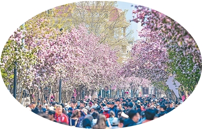 ��򣺺��Ļ���Ҋ�š�