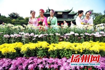 �������ջ�չ���������οͺ������P(gu��n)ע��