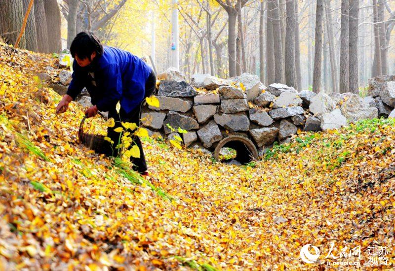 ��(d��ng)?sh��)ش����ʰ���ڵ��ϵ��y�ӹ���������z