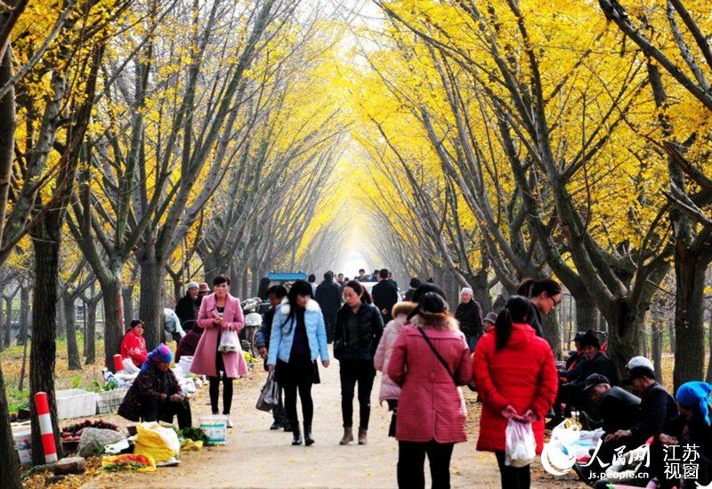 �h(yu��n)������&ldquo;�y�ӕr(sh��)������&rdquo;�������翗��������z