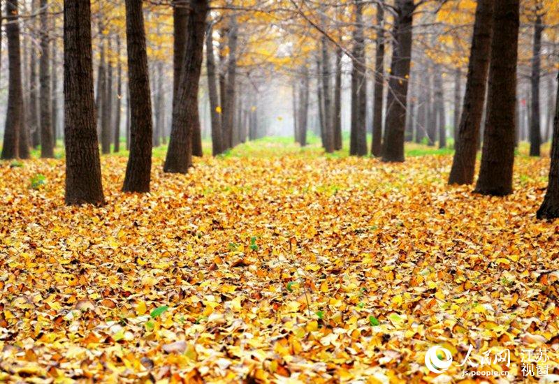 ���F���(zh��n)Ҧ�f����y��������ƬƬ�S�~�S�L(f��ng)�h�����ژ������һ�ӽ��S��������z