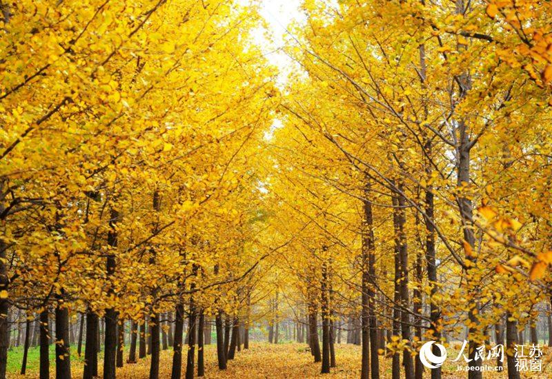 �M�۽��S׌�˪q������ͯԒ������������z