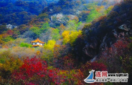 rb161110����4