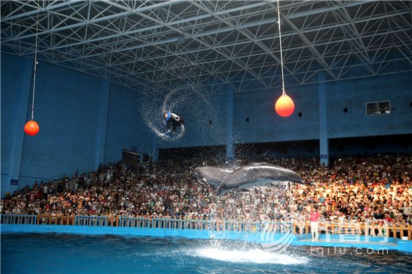 ���R����O������ �����w�˱���