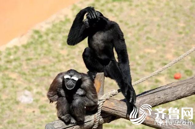 QQ�؈D20170508160306