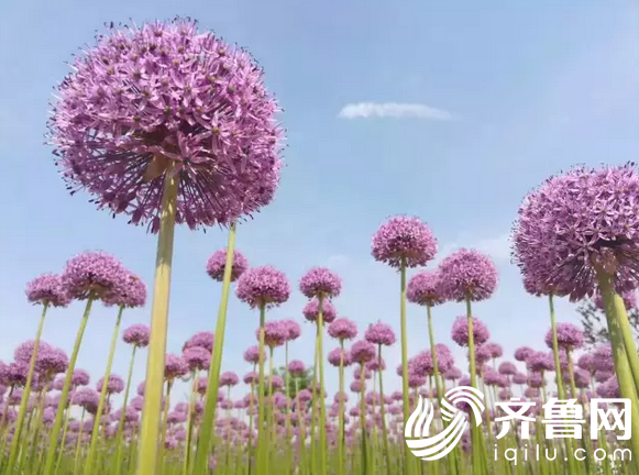 QQ�؈D20170501184544