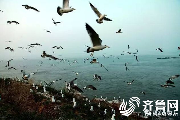 QQ�؈D20170508160605