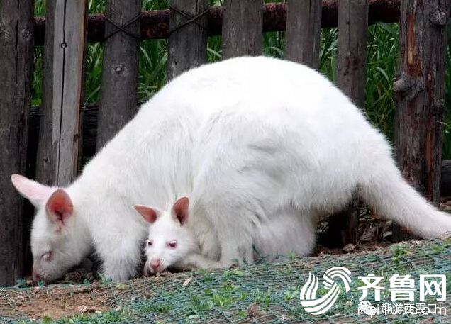 QQ�؈D20170508160216