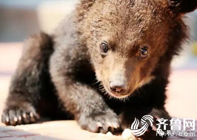 QQ�؈D20170508160313