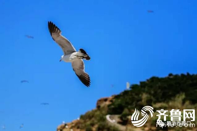 QQ�؈D20170508160543