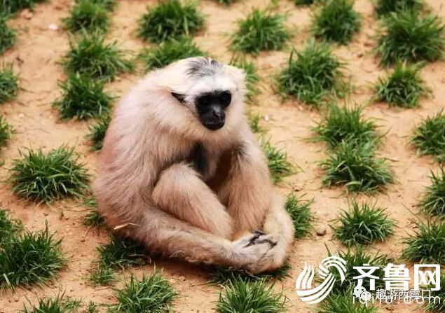 QQ�؈D20170508160259