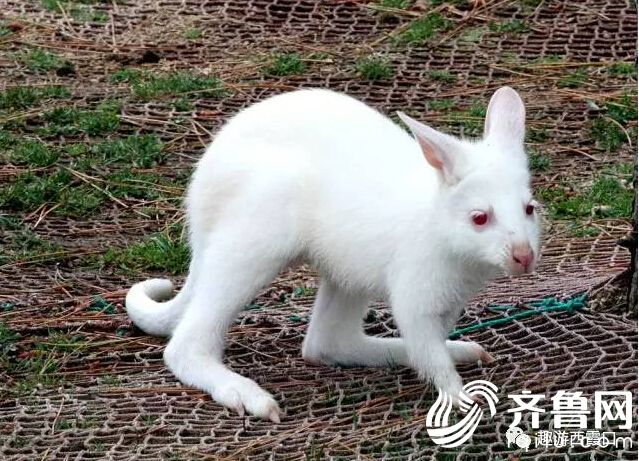 QQ�؈D20170508160206