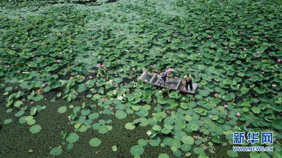 ����(j��ng)��(j��)����3�����K���飺ˮ�Ͻ�&ldquo;����(ch��ng)&rdquo; ���B(t��i)�ָ���