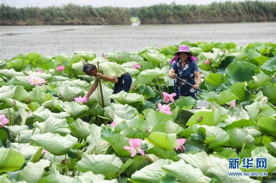 ����(j��ng)��(j��)����1�����K���飺ˮ�Ͻ�&ldquo;����(ch��ng)&rdquo; ���B(t��i)�ָ���