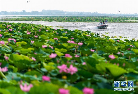 �������Ї�(gu��)����3�������պ�����t�B(ni��o)�輯 �f(w��n)���h��