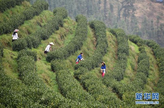 ����(j��ng)��(j��)����4���F�ݴ�����m(x��)�_��