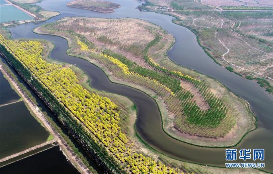 ���h(hu��n)������1����򣺽�Ұ���@׃���������ɡ�