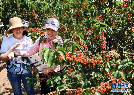 �����(hu��)����4��ɽ�|���u�������S�� ��ժ���r(n��ng)