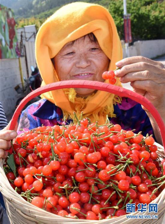 �����(hu��)����3��ɽ�|���u�������S�� ��ժ���r(n��ng)