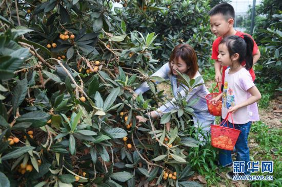 ����(j��ng)��(j��)����2�������l(xi��ng)���_�� ��ˮ����ժ����