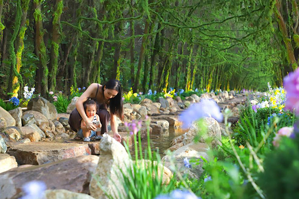 ɽ�|���գ������I(y��)��