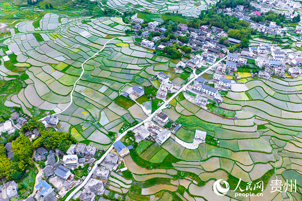 �����F��л�Ϫ�^(q��)��������������W(w��ng)ӛ�� Ϳ���z