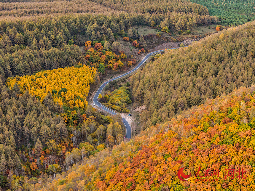 ���B(t��i)��������(d��ng)�r �ӱ���