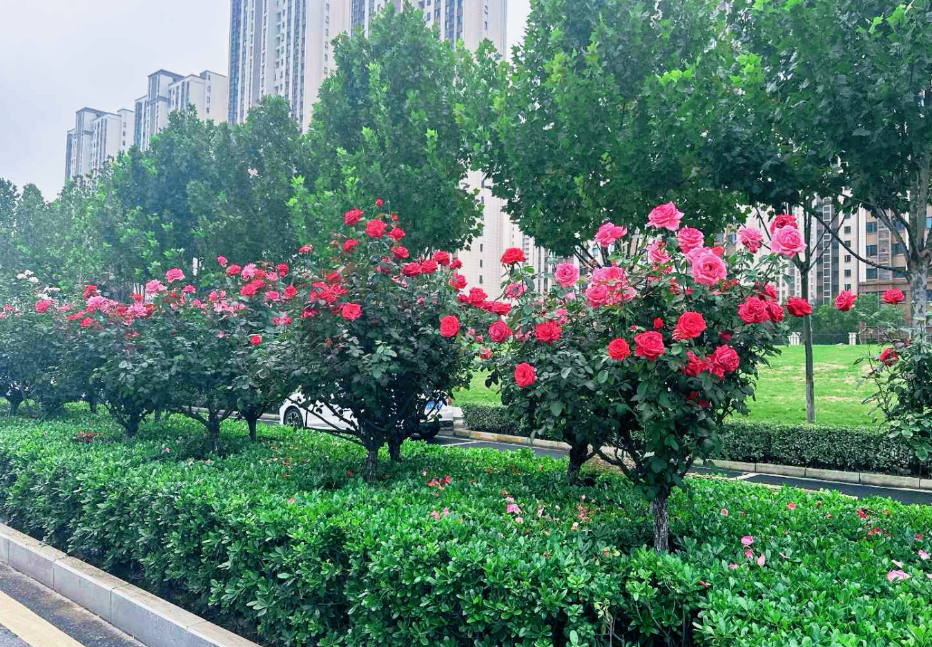 �Ϸʸ��^(q��)�����ӡ���ס�