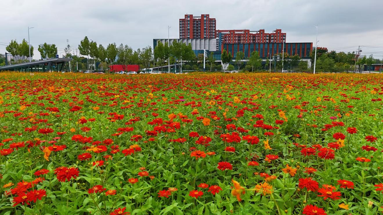 �Ϸʸ��^(q��)�����ӡ���ס�