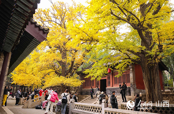 �����ڃ���500����g���y�Ә��´�����������W(w��ng)ӛ�� �����z