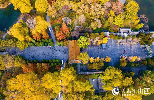 �x����������ɫ�ʌӴ��S��������W(w��ng)ӛ�� �����z