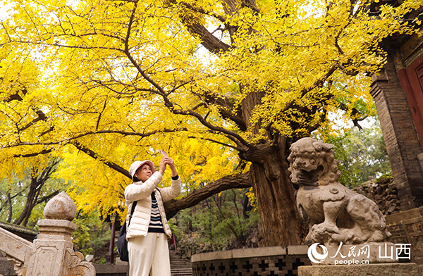 ��Ⱦ�x�� �����y������