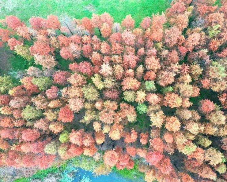 �tɼӳˮ��