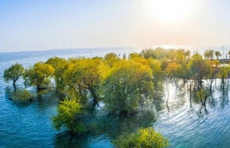 ����Ϧ����